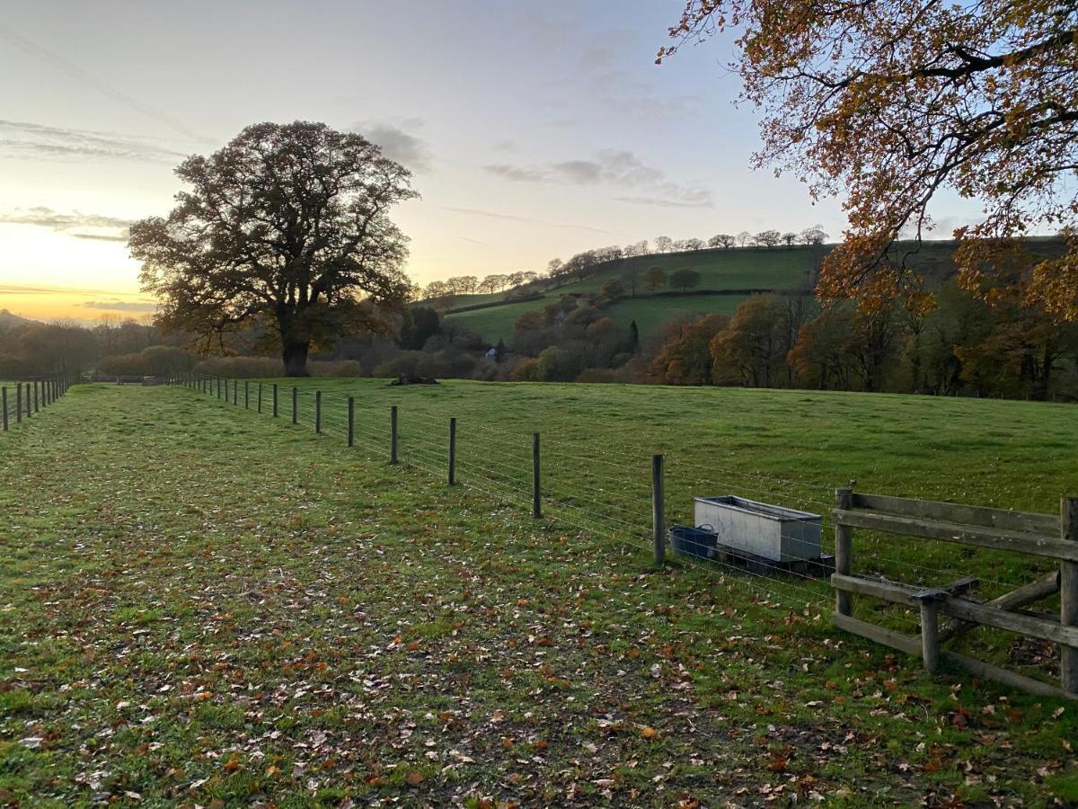 Oakies Farm Stays Llandovery Exterior foto