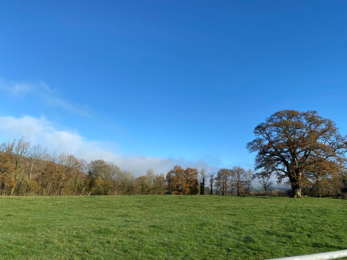Oakies Farm Stays Llandovery Exterior foto
