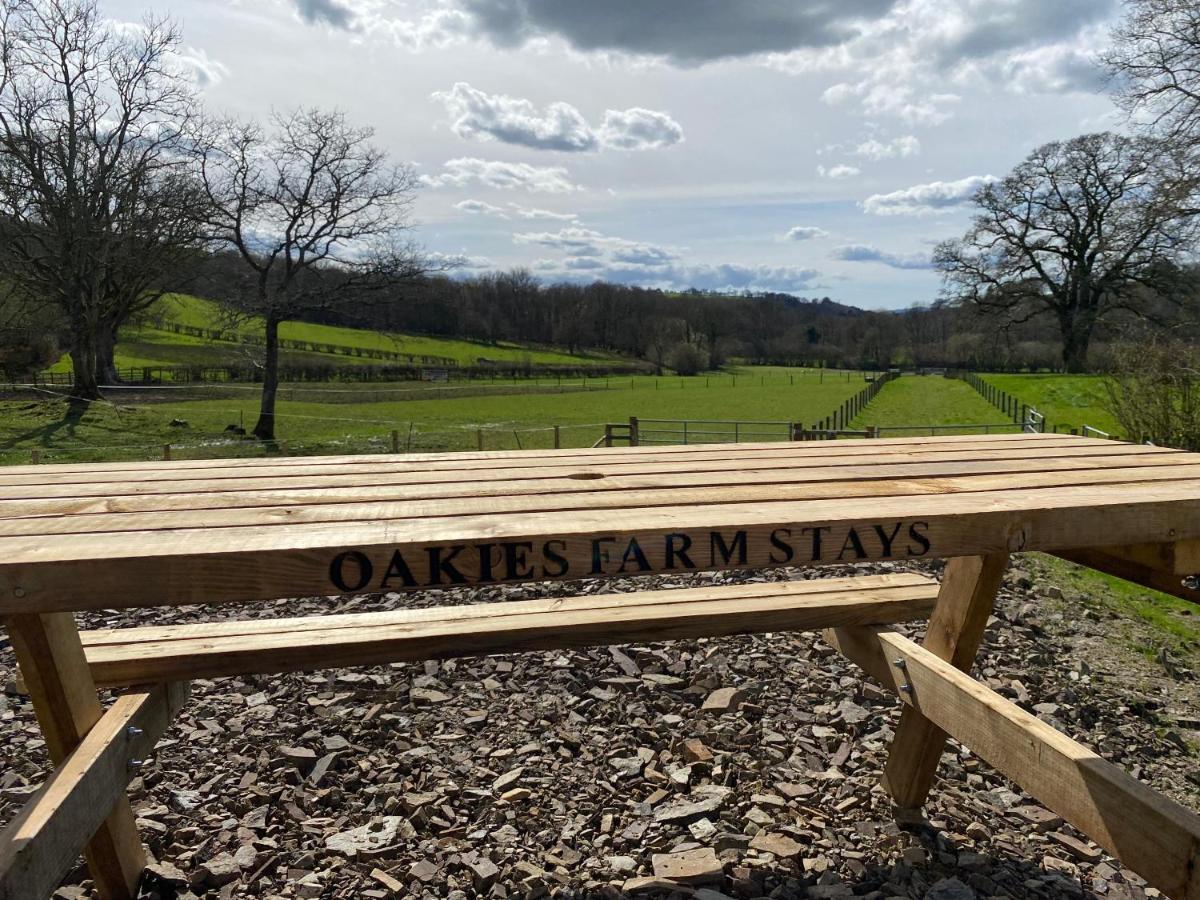 Oakies Farm Stays Llandovery Exterior foto