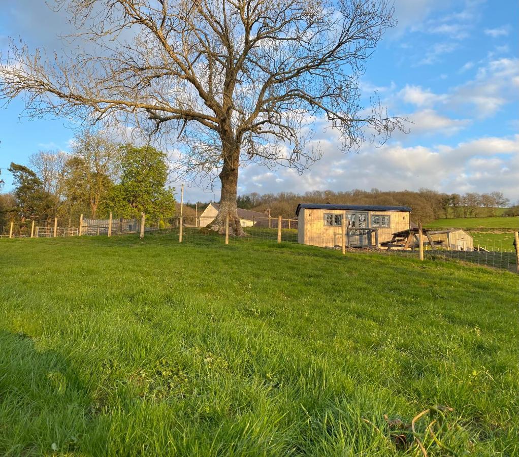 Oakies Farm Stays Llandovery Exterior foto
